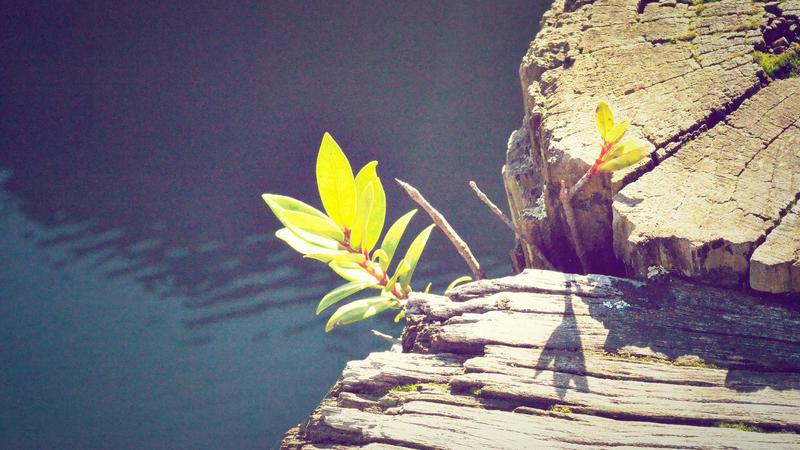 糖心传媒主创团队工作场景